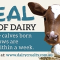 T-shirts 'The real cost of dairy'